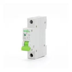 TONGOU DISJONCTEUR C20  - 1