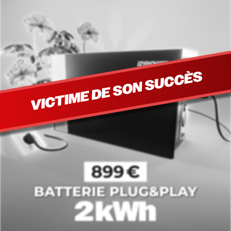IZYPOWER TITAN 2400 BLACK