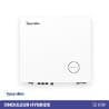 ONDULEUR HYBRIDE 12kW TRIPHASÉ HOYMILES - 1