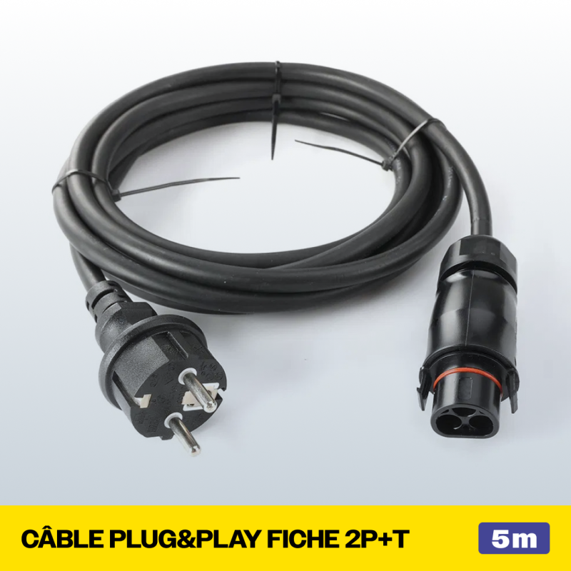 CABLE PLUG AND PLAY FICHE 2P+T 5M